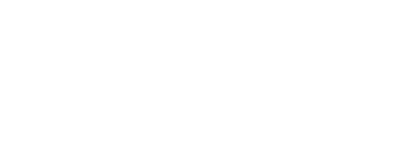 Executive Treatment Solutions